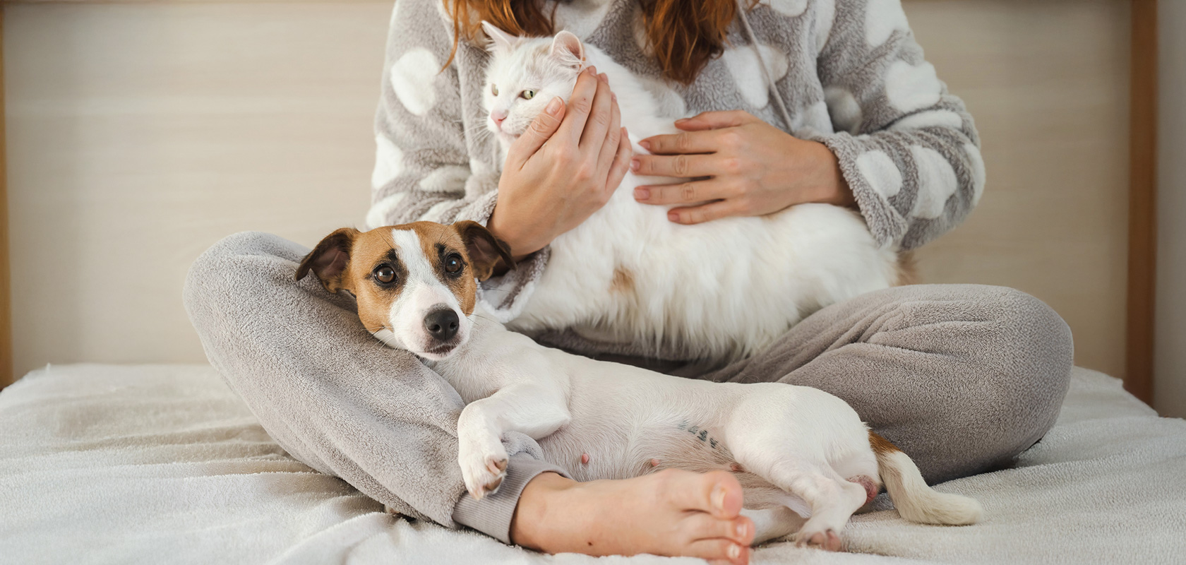 ワンちゃん・ネコちゃんの飼いやすさ・大変さの違い