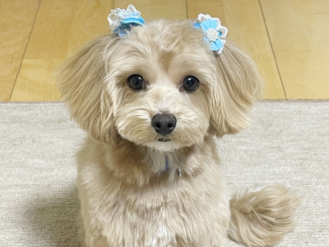 BEFORE(2カ月)