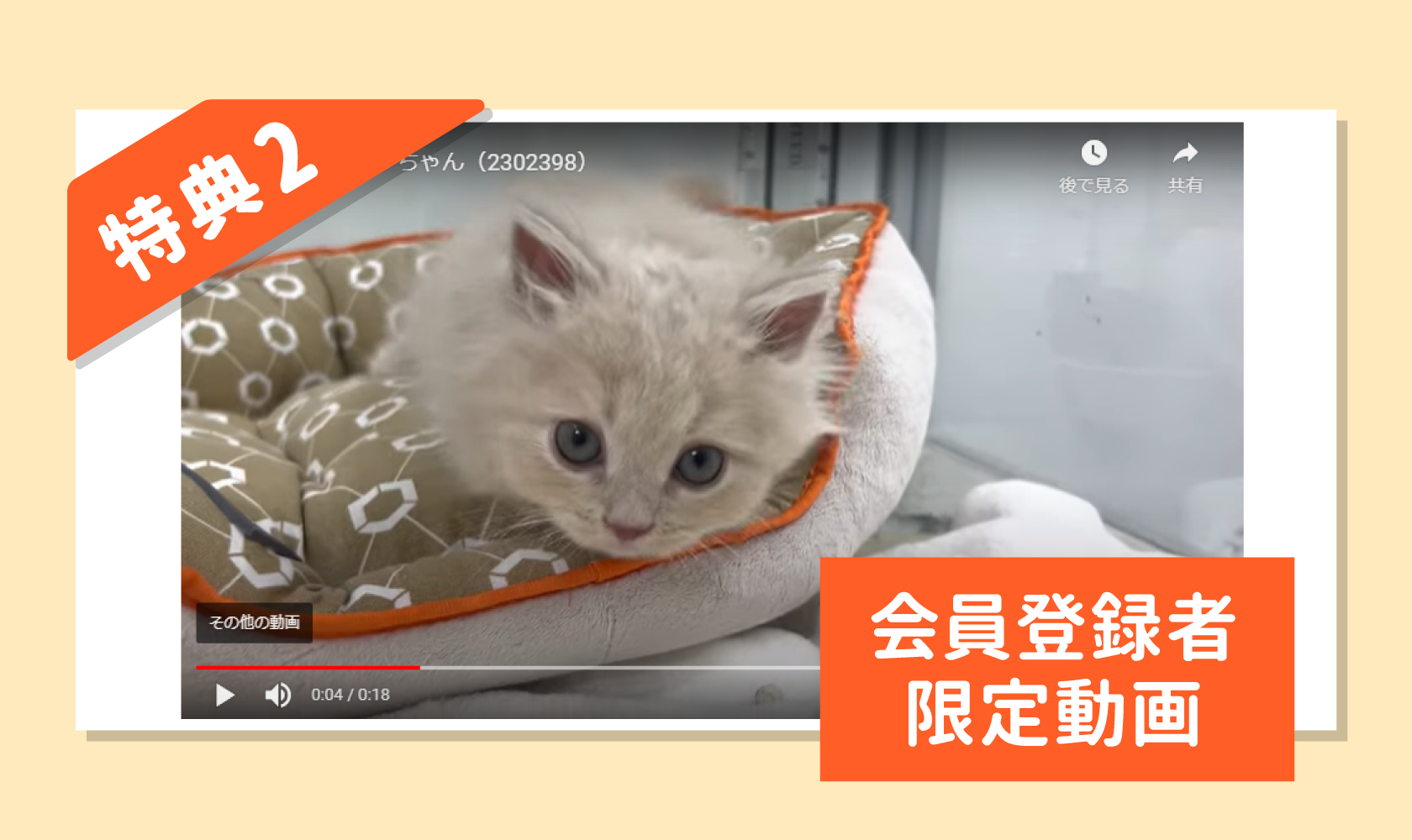 会員登録限定動画