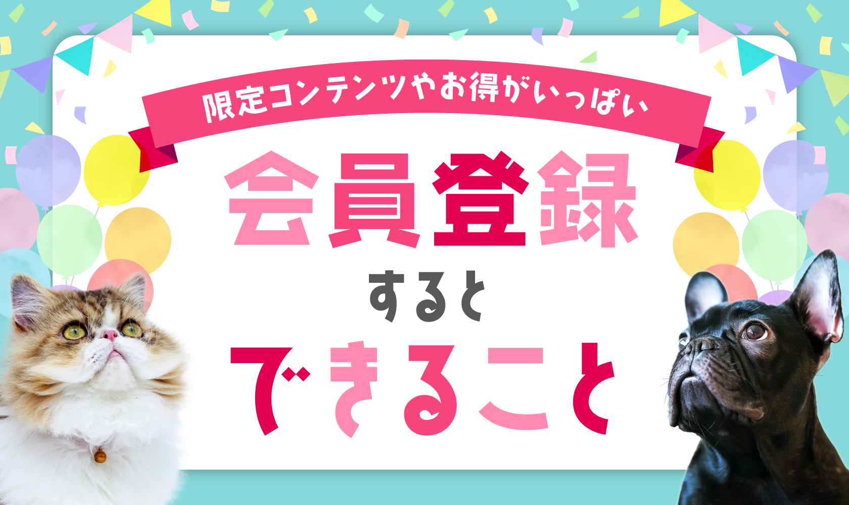 会員限定特典がいっぱい!ペッツファーストサイトで会員登録してみよう!