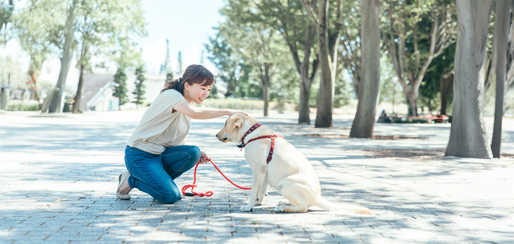 しつけがうまくいかない時は専門家に相談するのもひとつの方法
