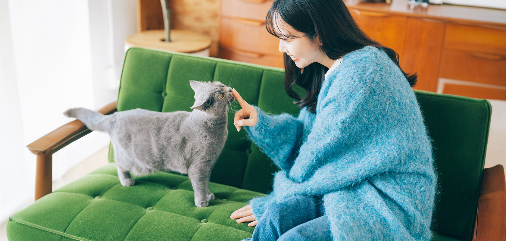 万全の準備でネコちゃんとの新生活をスタートさせよう