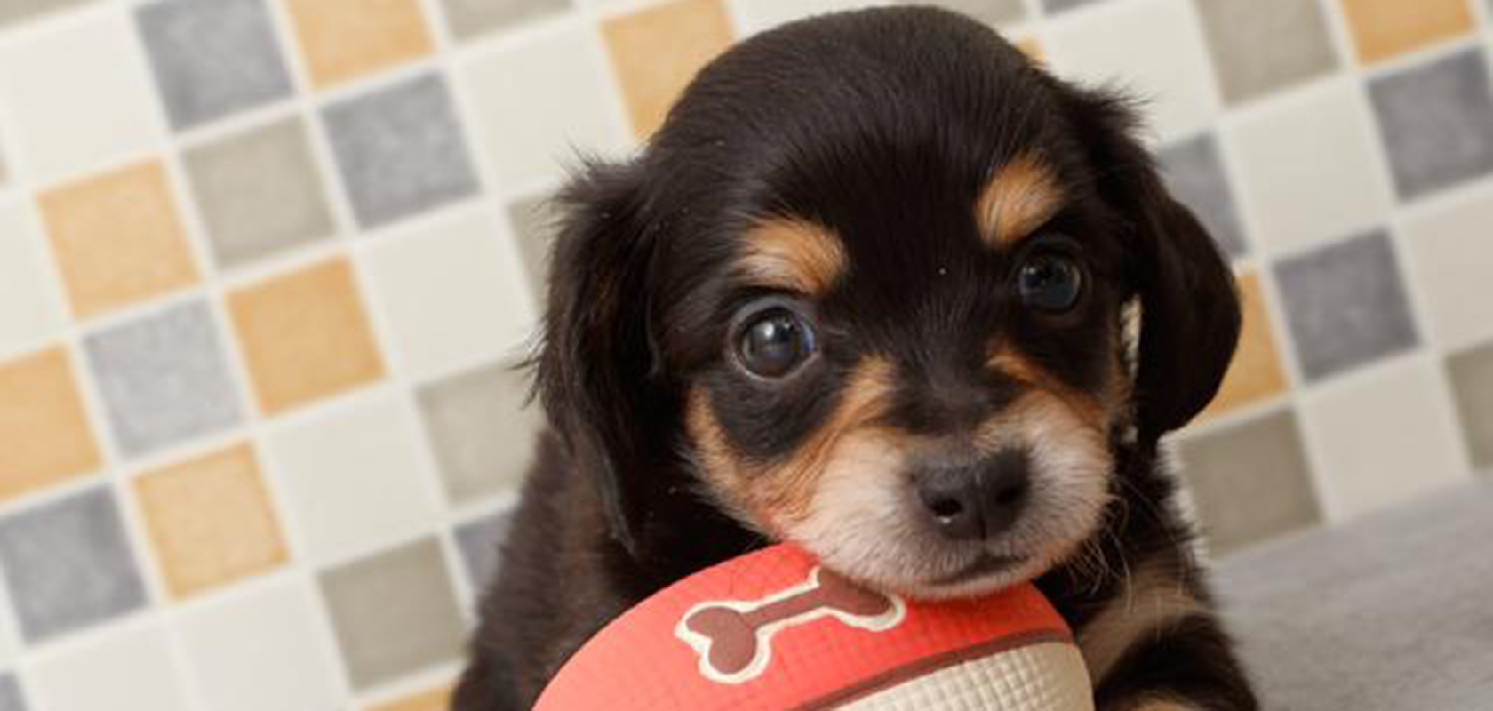 自宅でシュガーワックスを作る方法