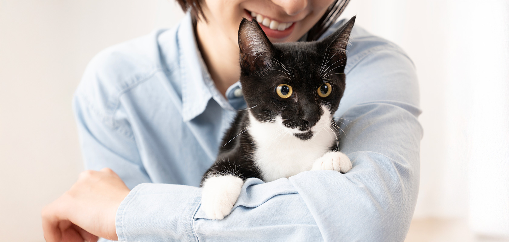 ネコちゃんを飼う準備は完璧？心構え・費用・必要なものを解説