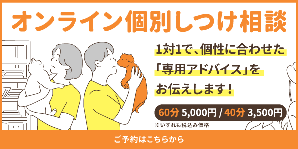 オンライン個別相談