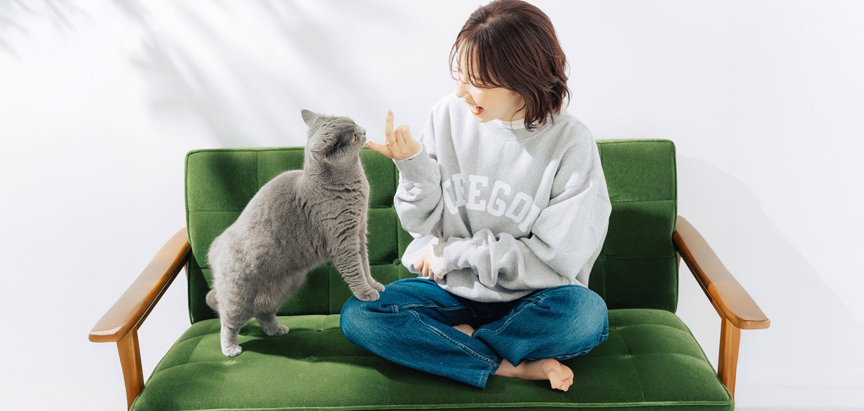 ネコちゃんにルールを覚えてもらうための接し方のコツ