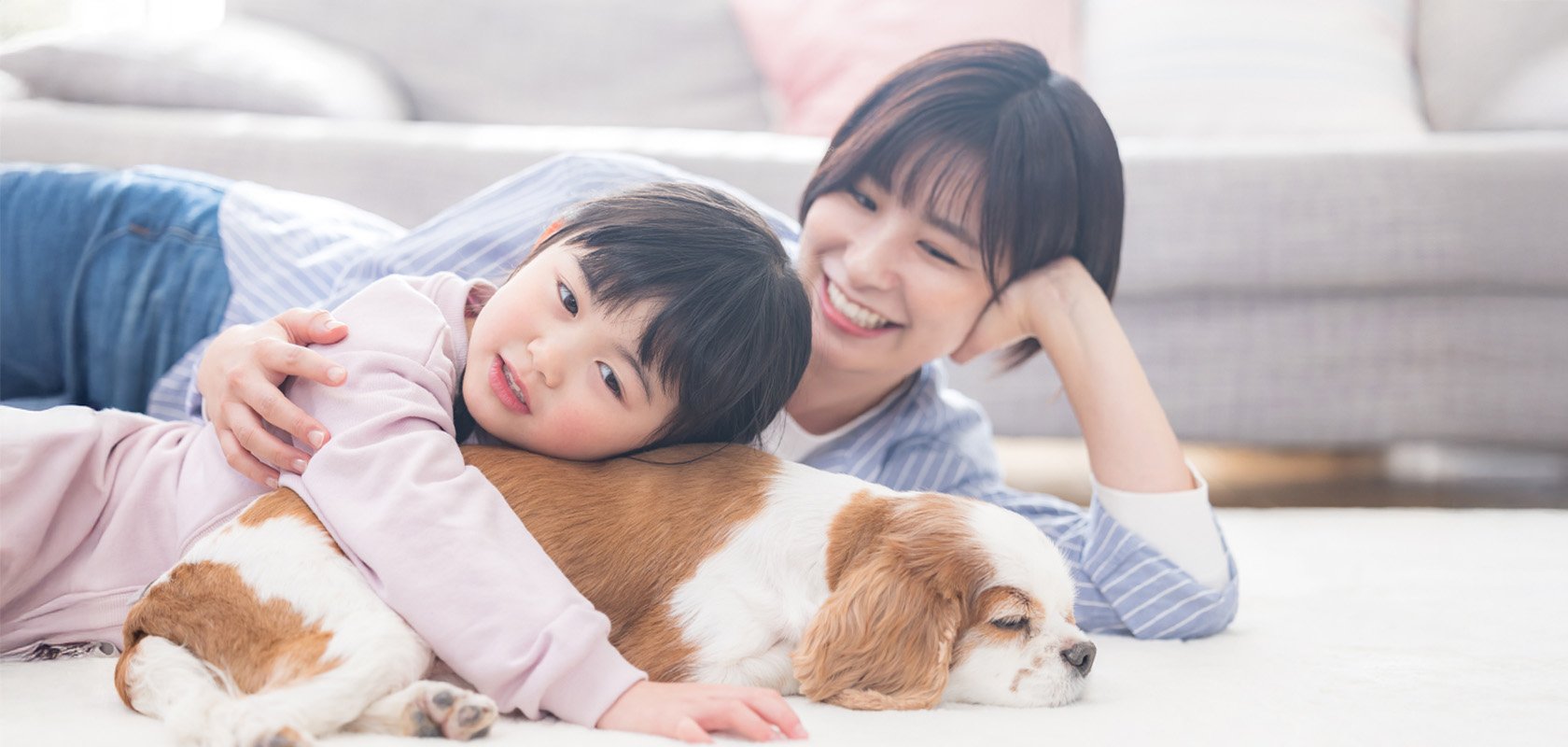 初心者向けの犬種を見つけて大切な時間を築こう!