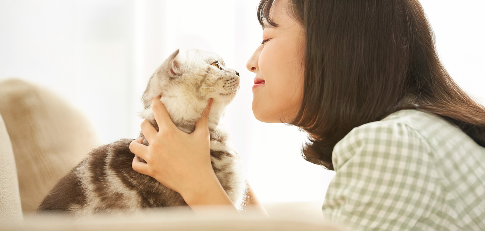 ネコちゃんの飼い方を知って楽しい新生活を迎えよう