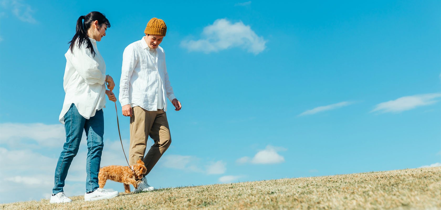 共働きで初めて愛犬を飼う人はお迎えの準備を整えよう