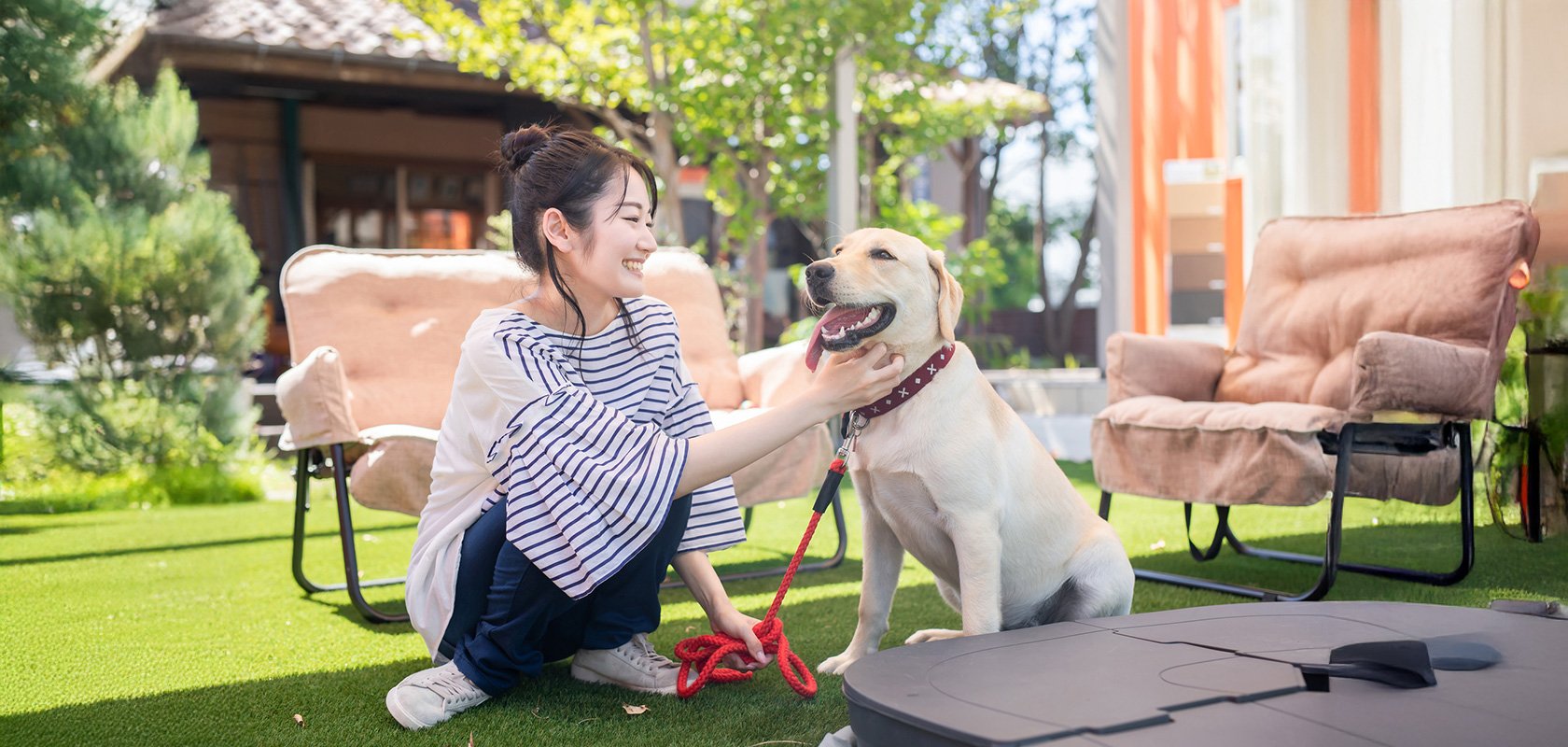 犬アレルギーでも飼える犬種を探して暮らしを豊かにしよう