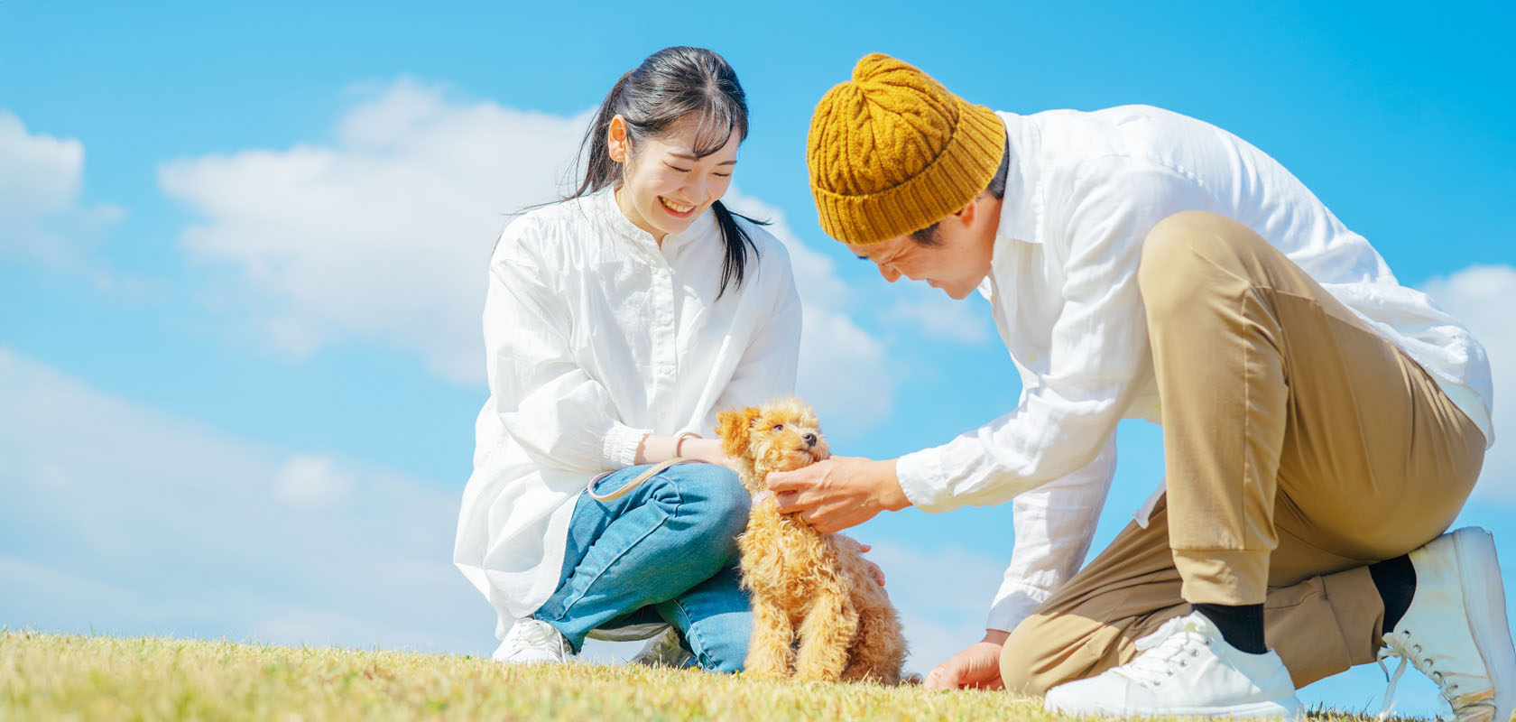 初めて愛犬を飼う共働きの方必見!留守番のポイントやおすすめの犬種を紹介
