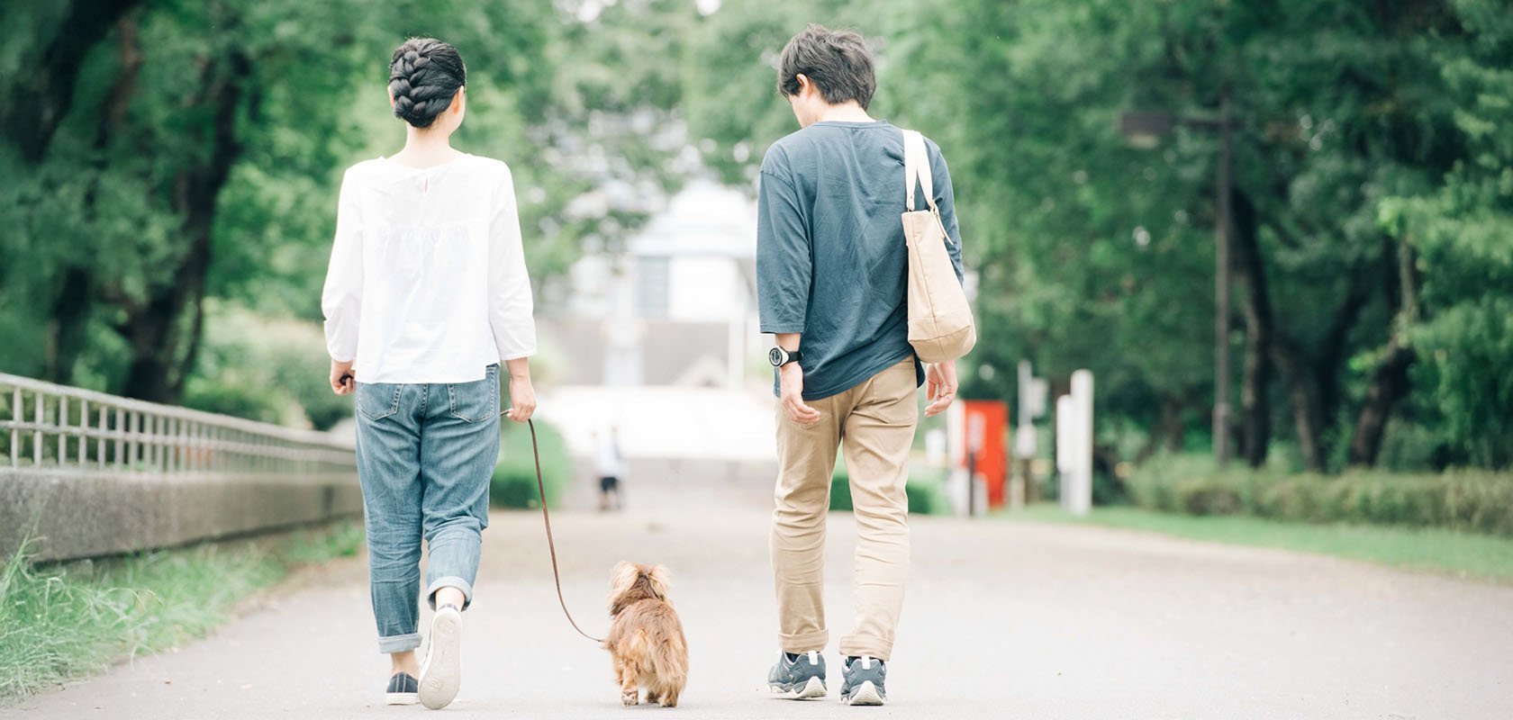 共働きでも愛犬を飼える?