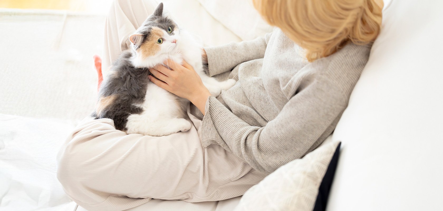 一人暮らしに向いているネコちゃんの特徴