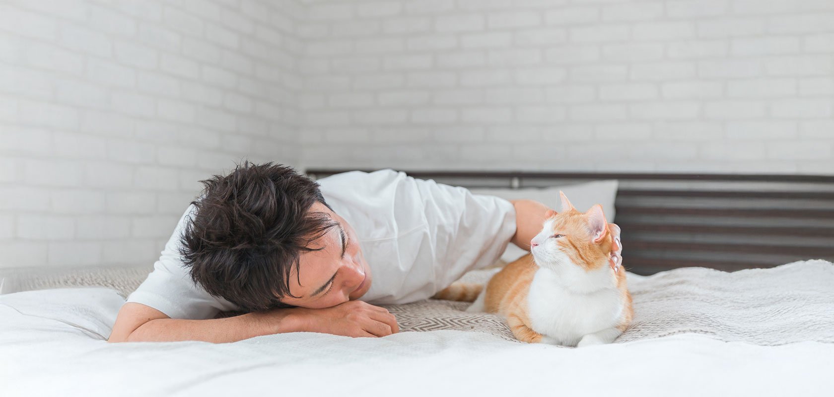 ネコちゃんにしつけはできる？基本の考え方