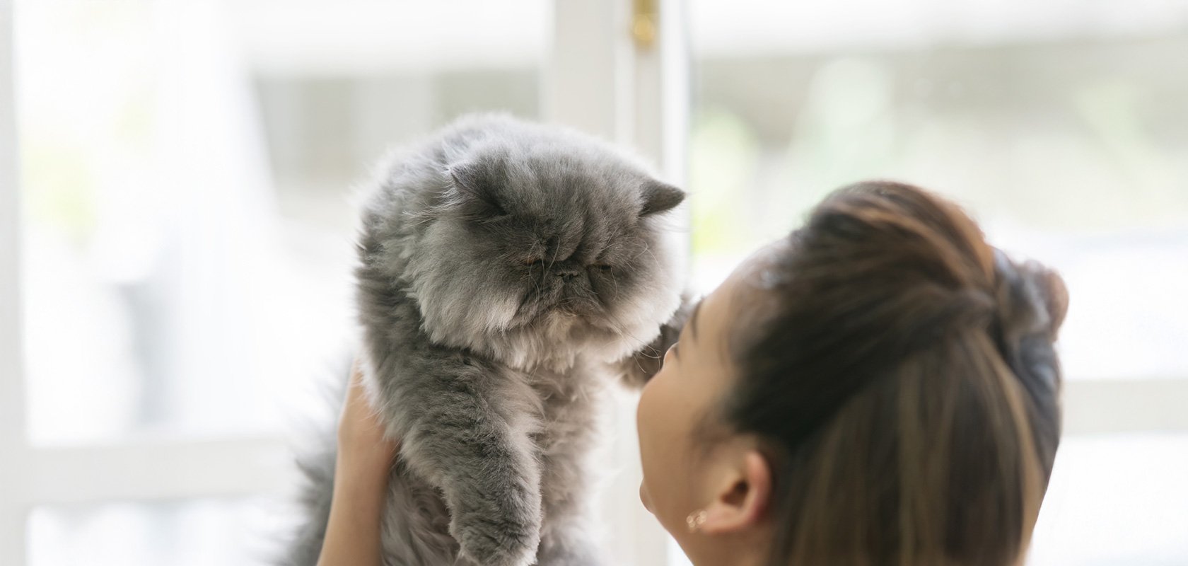 一人暮らしでネコちゃんを迎えるなら万全の準備を