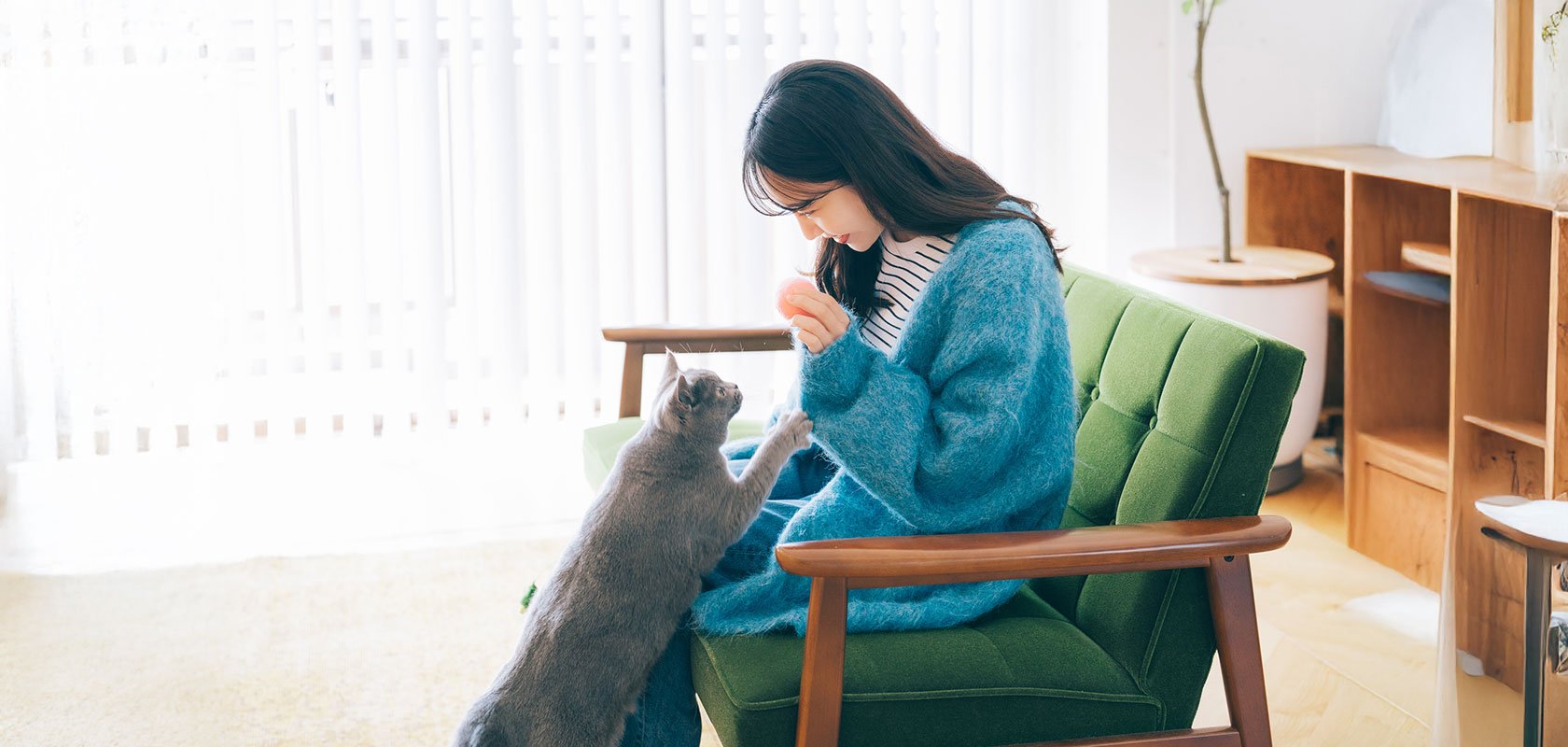 ネコちゃんにしつけは必要？悩み別の対策と正しい接し方を解説