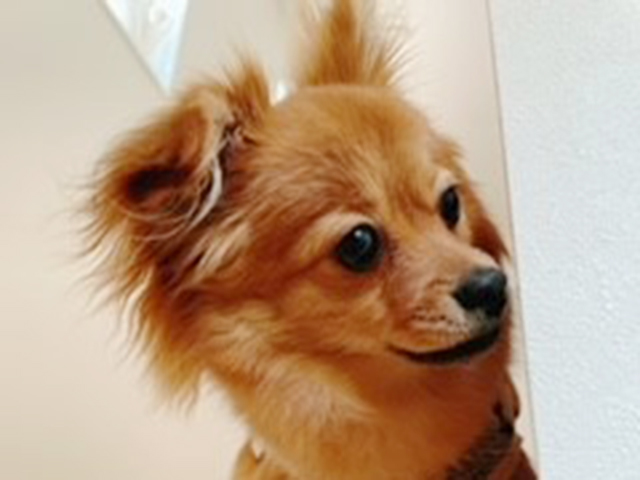 BEFORE(2カ月)