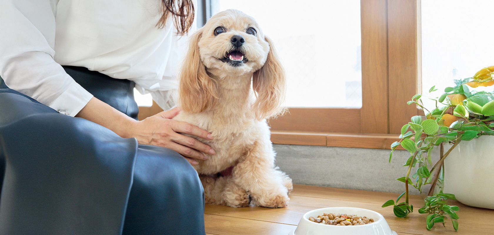 ワンちゃんを育てるには何よりも飼い主との信頼関係が大切!