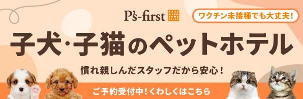 ペッツファーストのペットホテル