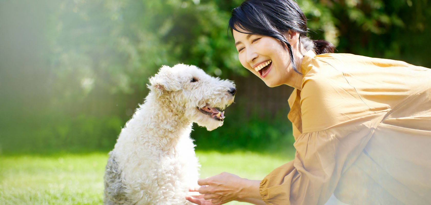 犬種グループ別の性格一覧!穏やかなワンちゃんに育てるポイントも解説