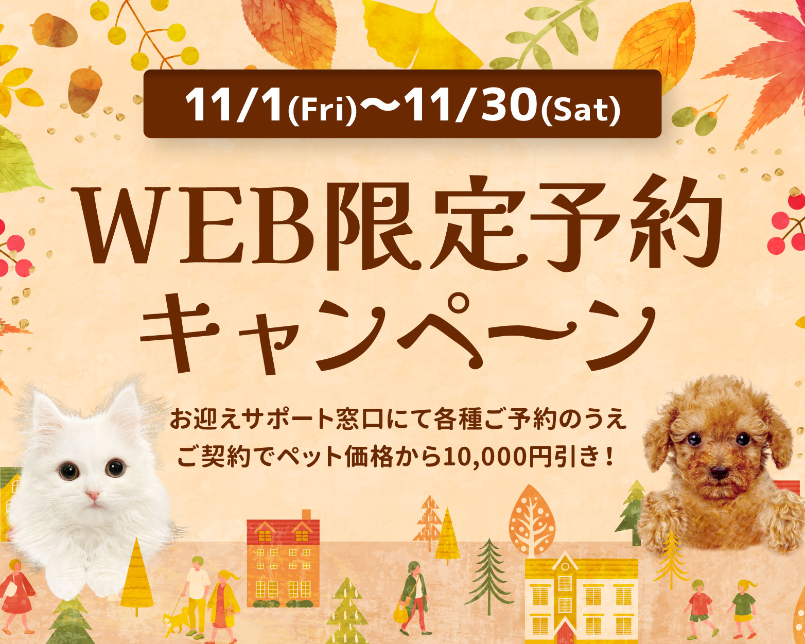 猫C 最終値下げしました！ 猫C 最終値下げしました！