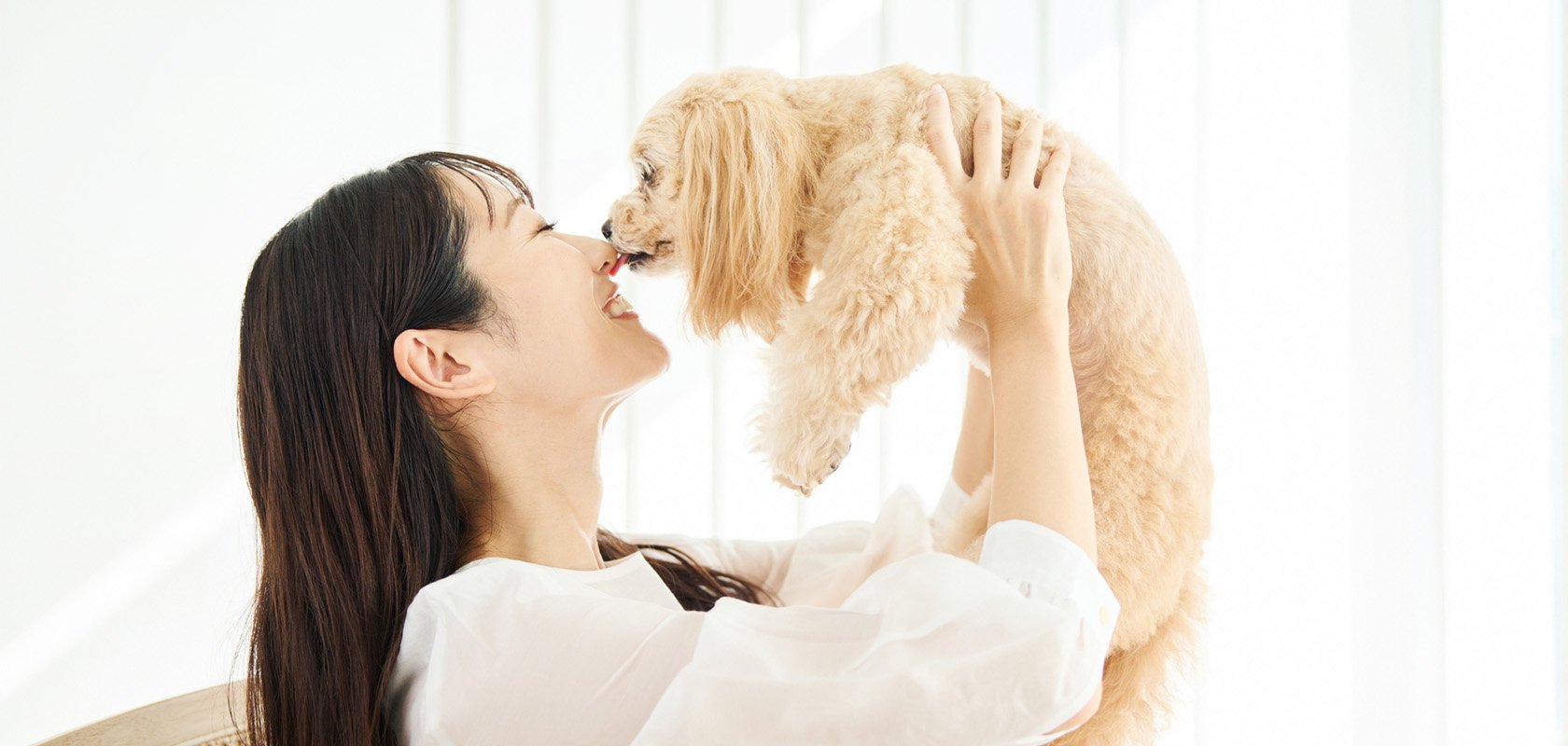 一人暮らしでも愛犬は飼える?