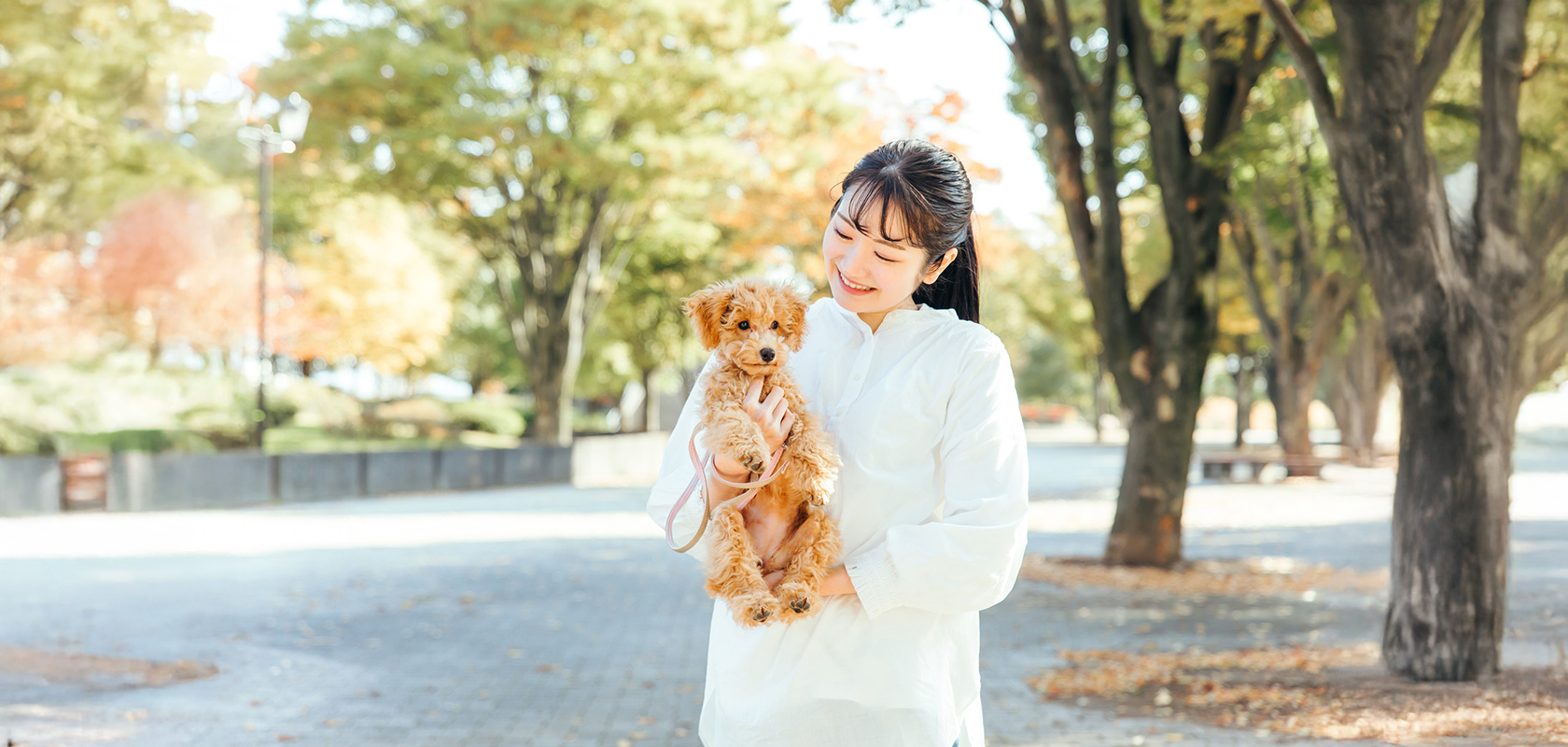 子犬の無駄吠えをなくすためのポイント