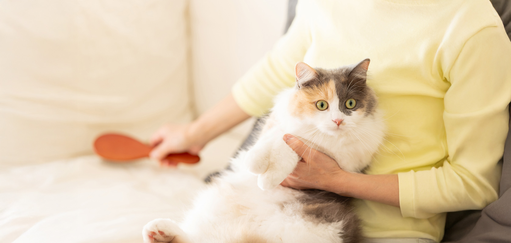 ネコちゃんとの暮らしを豊かにする毎日のお世話