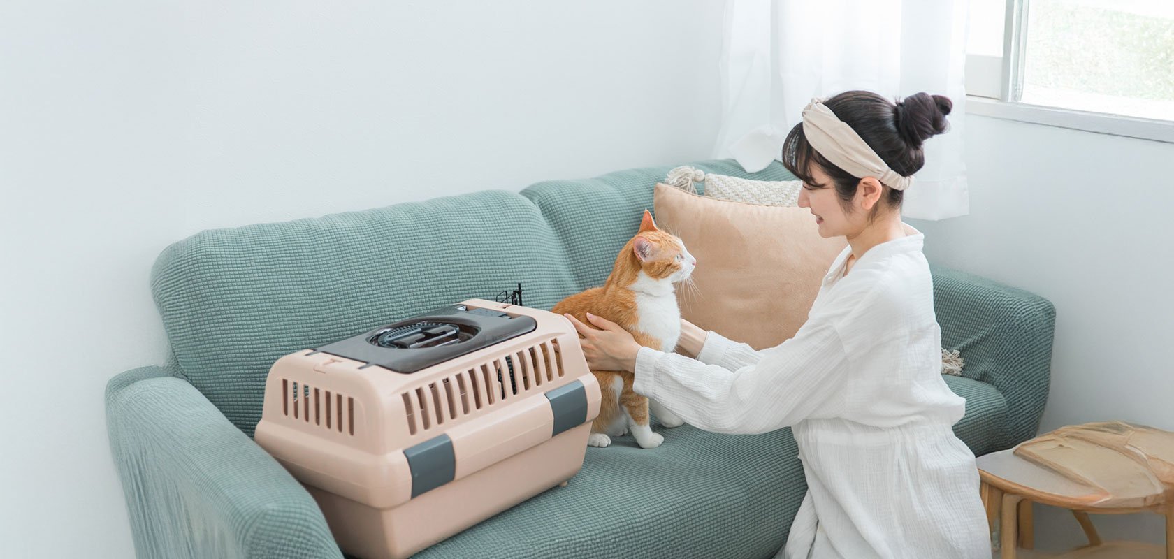 2泊以上の旅行ならペットホテルやシッターを検討する