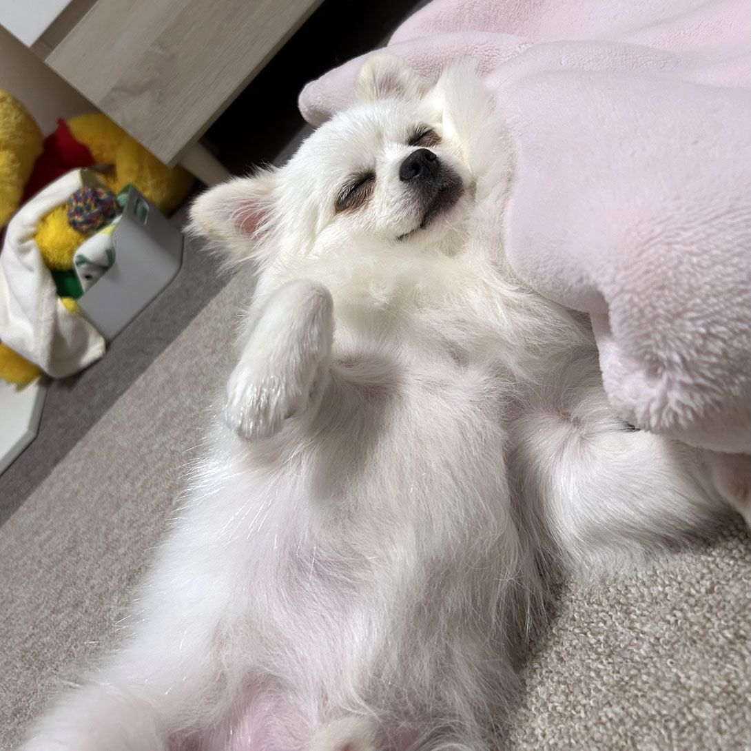 AFTER(1歳)