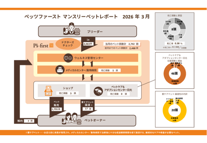 2026年03月