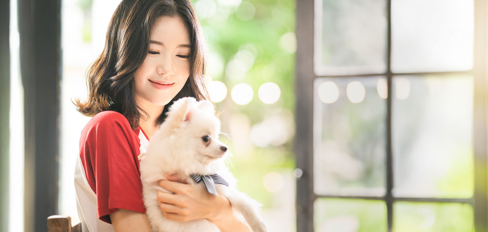 愛犬を飼うということは覚悟と責任が必要