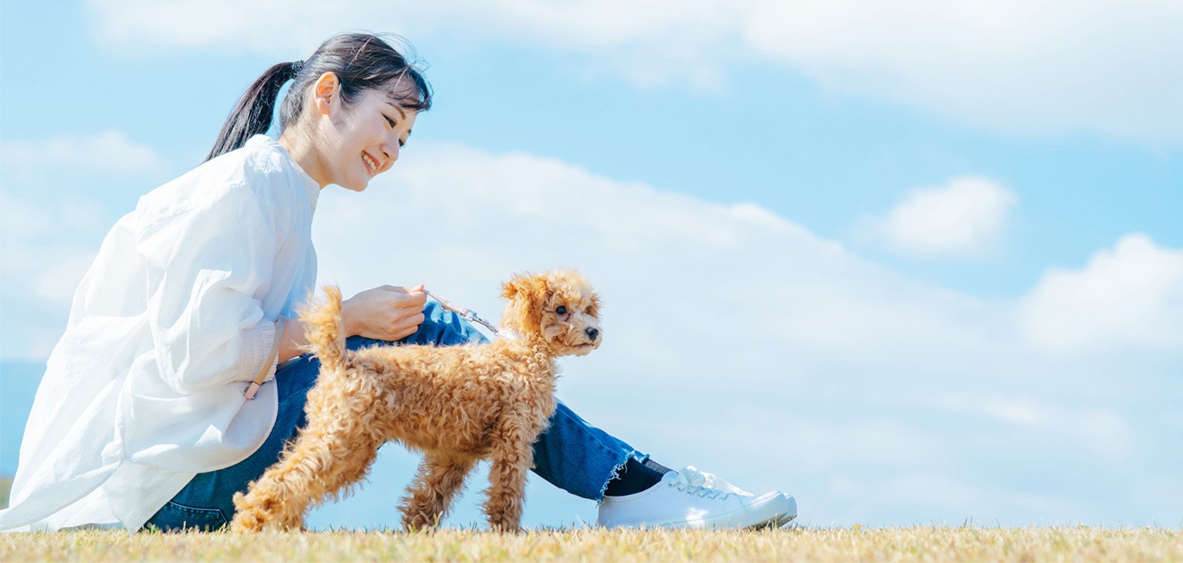 愛犬の飼い方を知ってワンちゃんを迎える体制を整えよう！