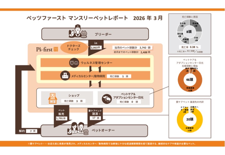 2026年03月
