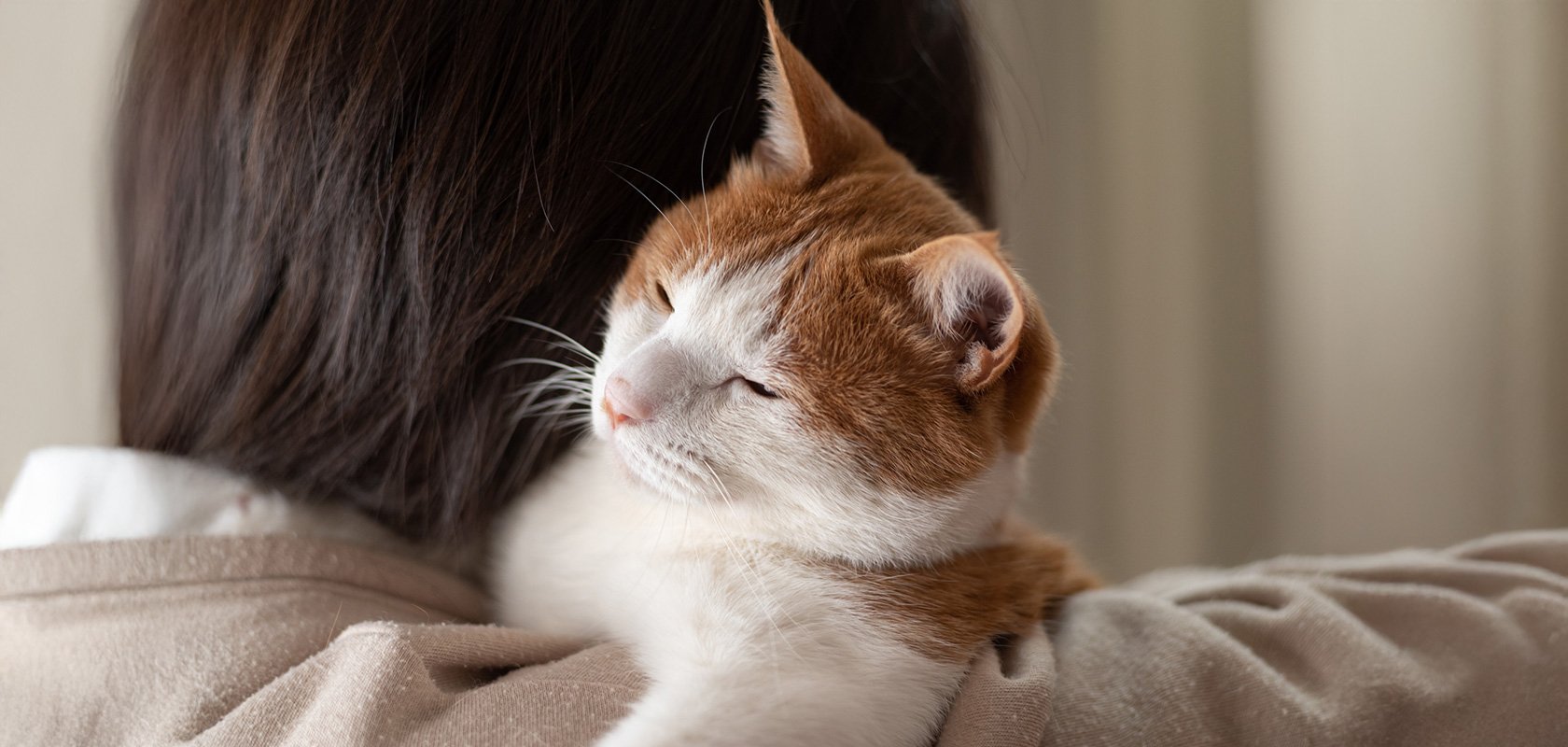 ネコちゃんを飼うのに向いている人の特徴