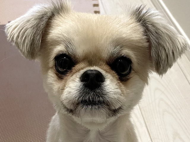 BEFORE(2カ月)