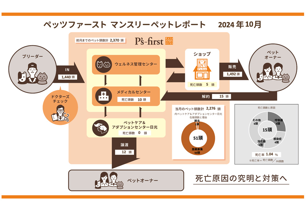 2024年10月