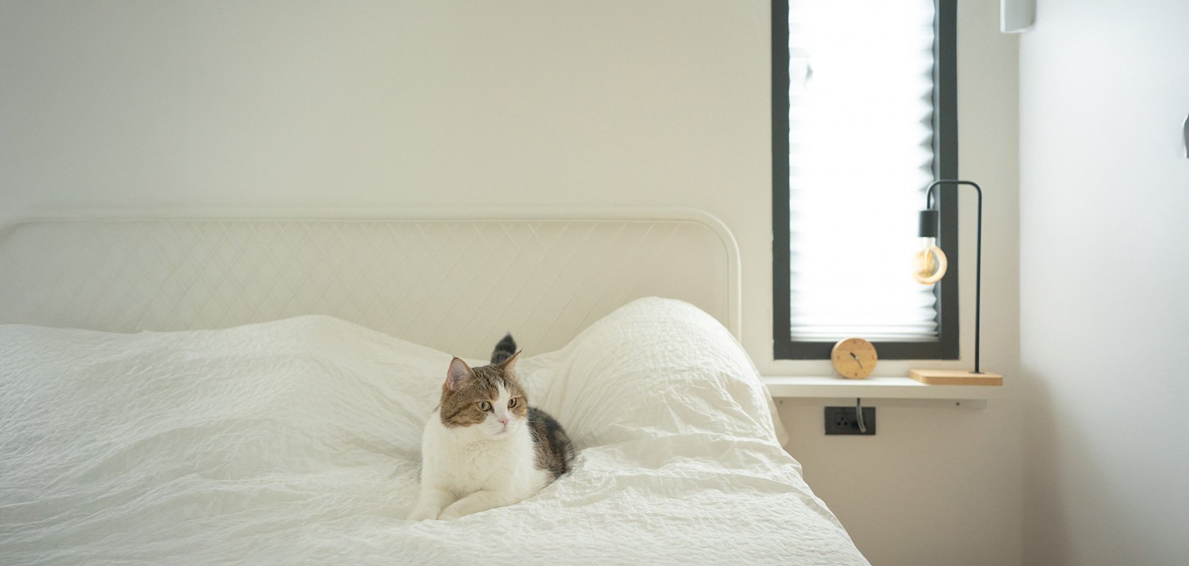 留守番や不在時の対策と注意点