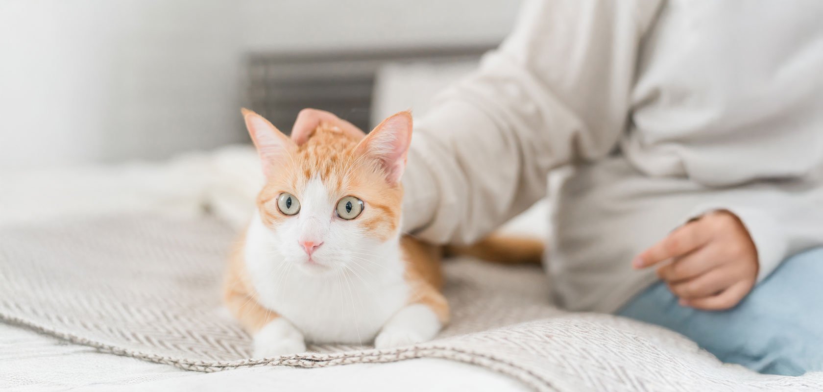 しつけがうまくいかないときに注意したいポイント