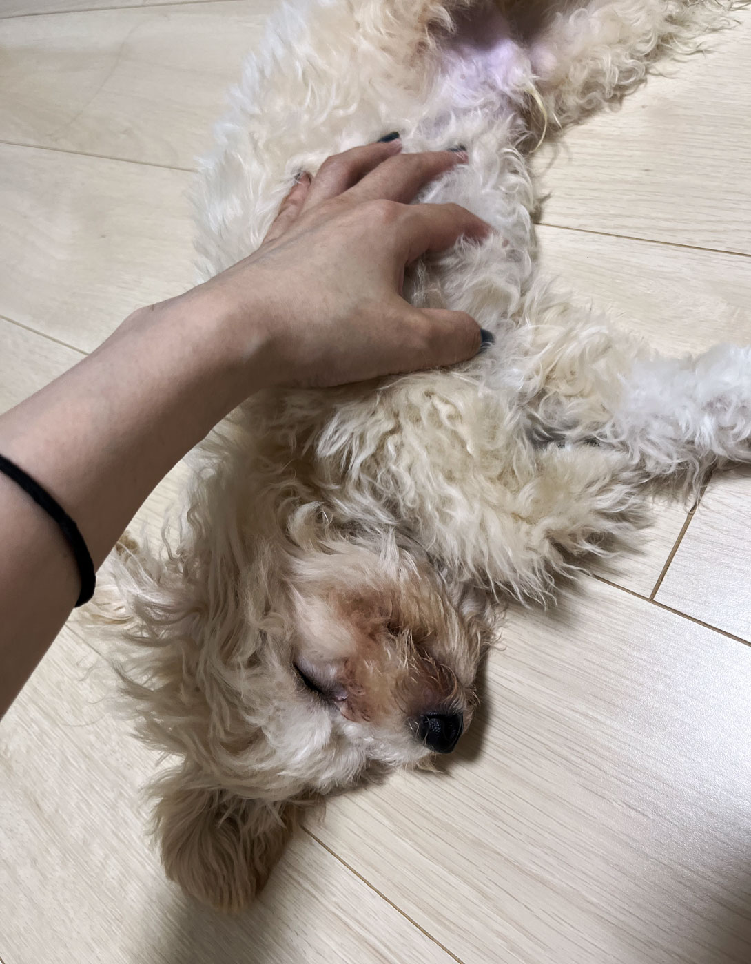 AFTER(1歳)