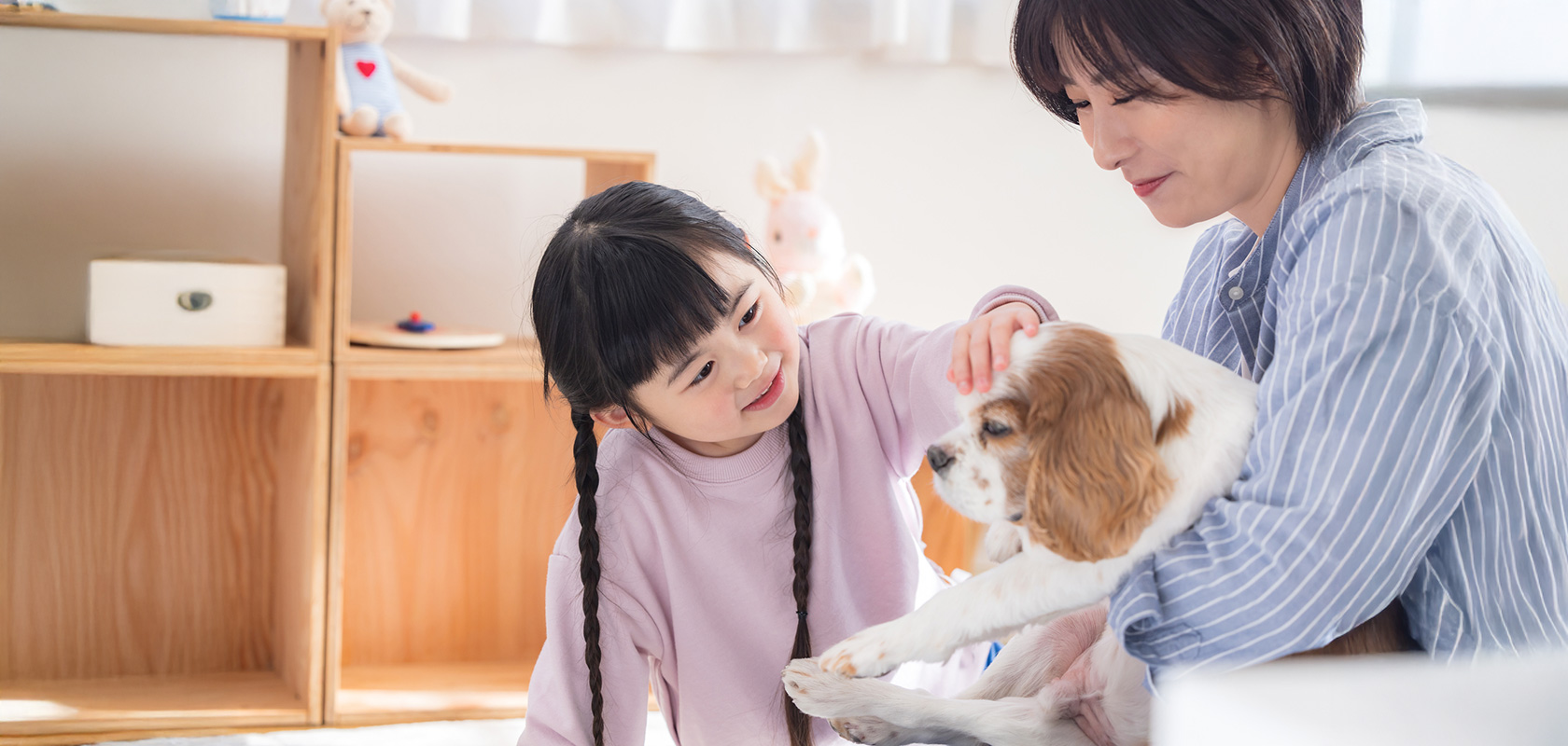 子犬の無駄吠えのしつけ方・トレーニング