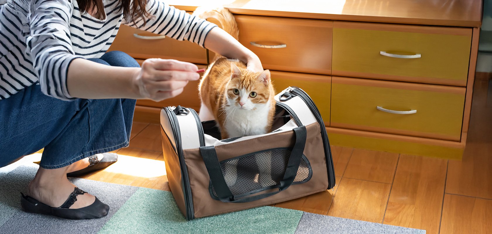 ネコちゃんのケージでよくある質問