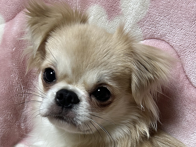 BEFORE(2カ月)