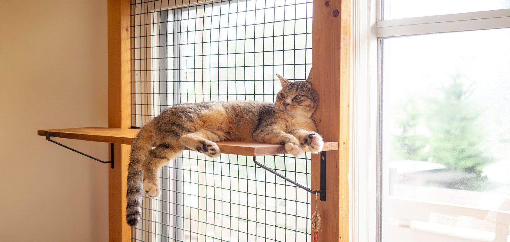 留守番中のトラブルを防ぐ安全対策