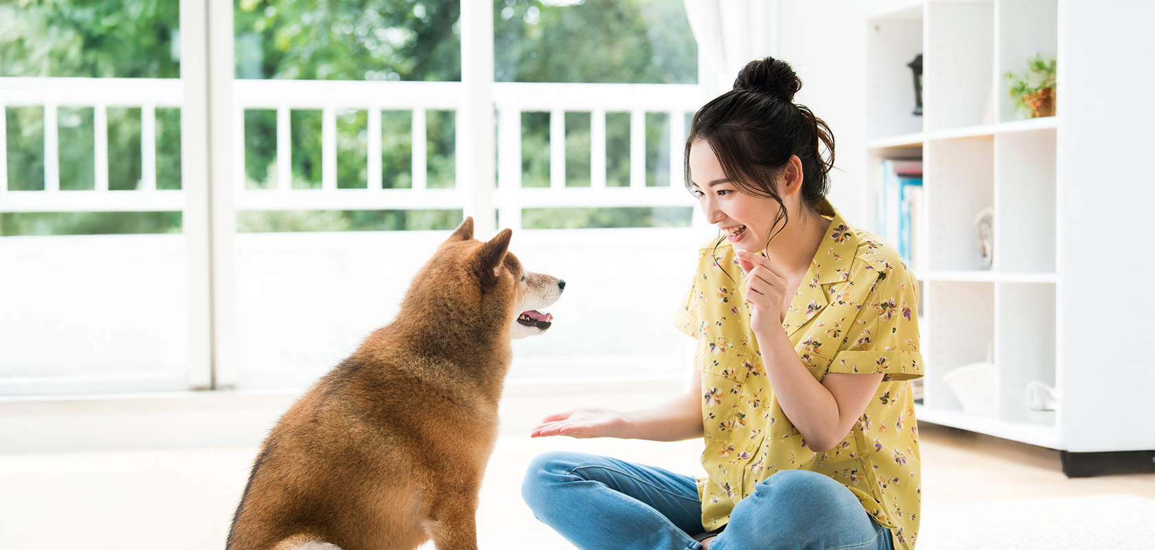 賢い愛犬に育てるためのポイント