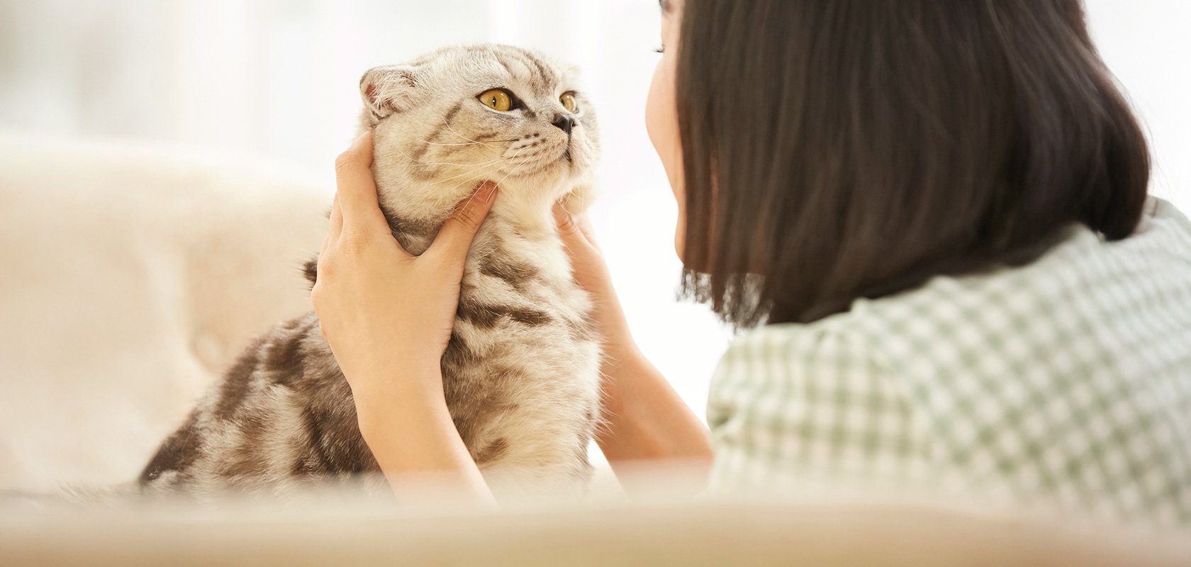 愛猫の人間換算した年齢を理解しつつ豊かな毎日を過ごそう