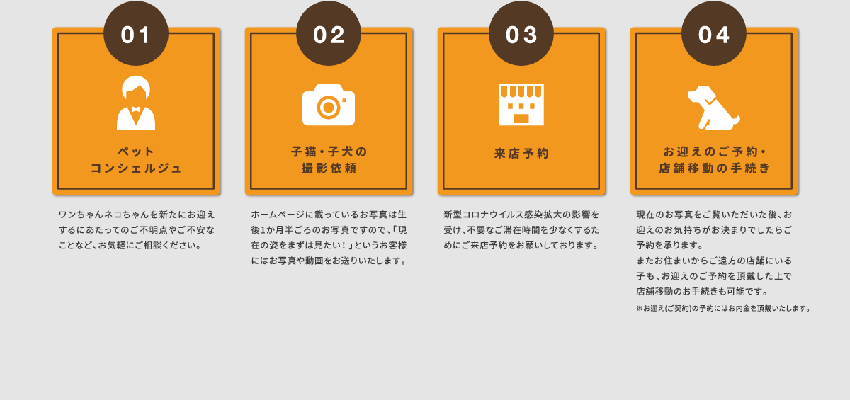 ペットコンシェルジュ,子猫・子犬の撮影依頼,来店予約,お迎えのご予約・店舗移動の手続き