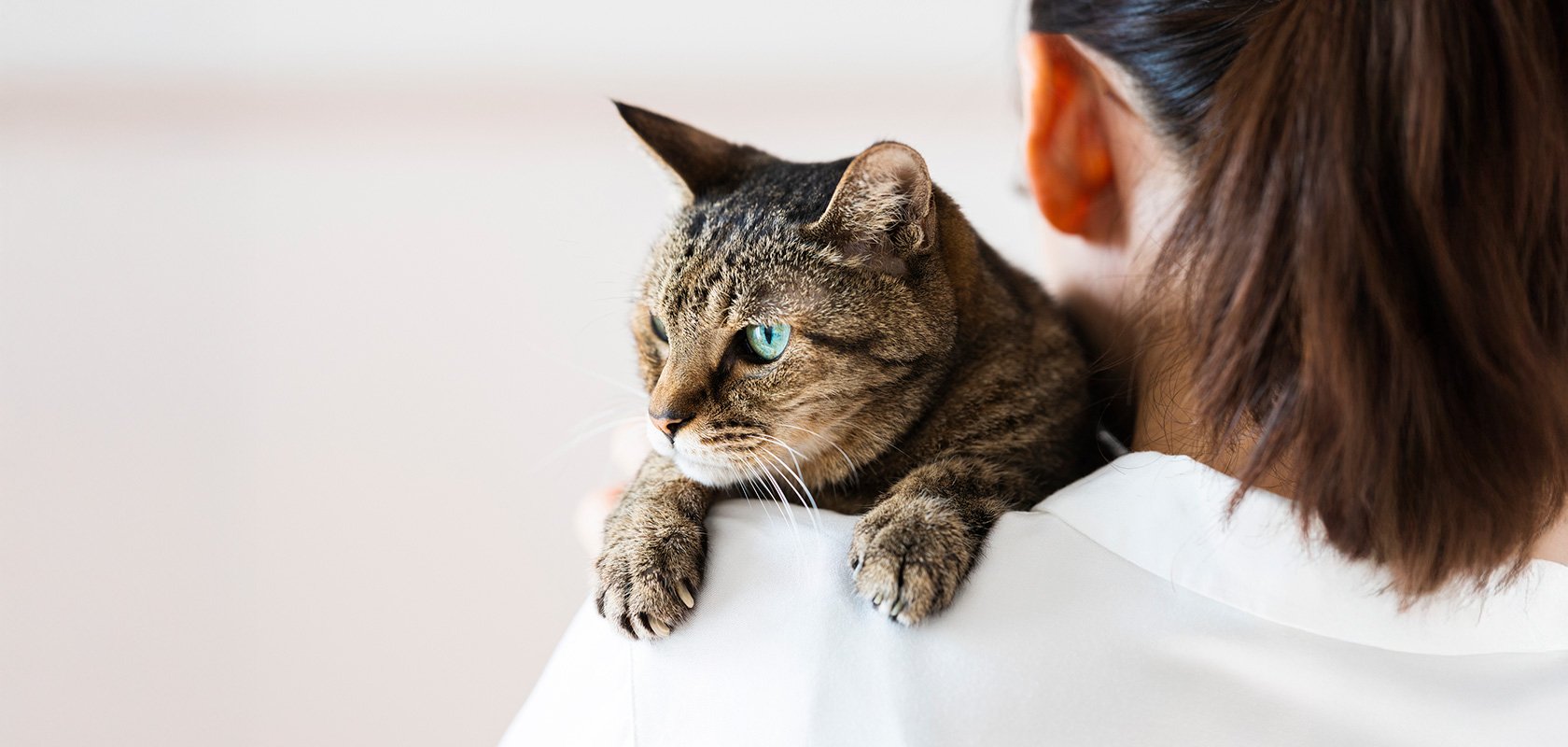 愛猫にとってのケージの必要性を考えて用意しよう!