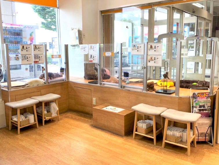 ペッツファースト秦野店の店舗写真