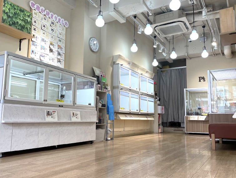 ペッツファースト原宿店の店舗写真